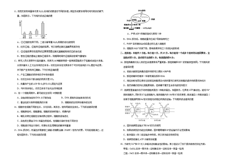 高中生物第一册 2020-2021学年上学期高一期末备考金卷 生物（B卷）第2页