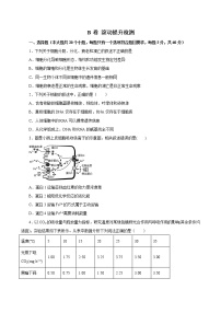 高中生物第一册 2019人教版必修1期末（B卷 滚动提升检测）-2021年高考生物一轮复习单元滚动双测卷（新高考地区专用）（无答案）