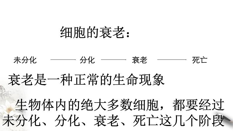 高中生物第一册 6 3 细胞的衰老和死亡 课件第3页