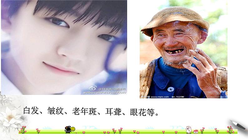 高中生物第一册 6 3 细胞的衰老和死亡 课件第4页
