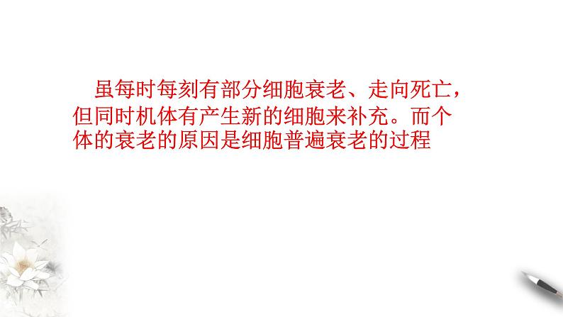 高中生物第一册 6 3 细胞的衰老和死亡 课件第7页