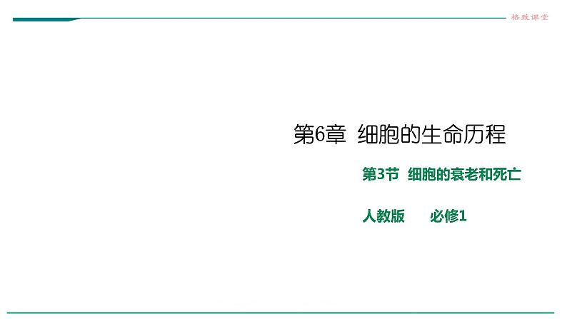 高中生物第一册 6 3细胞的衰老和死亡 课件第1页