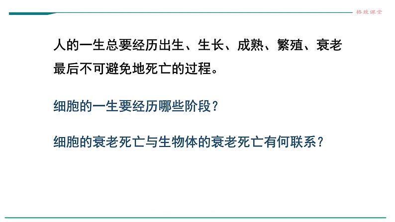 高中生物第一册 6 3细胞的衰老和死亡 课件第3页