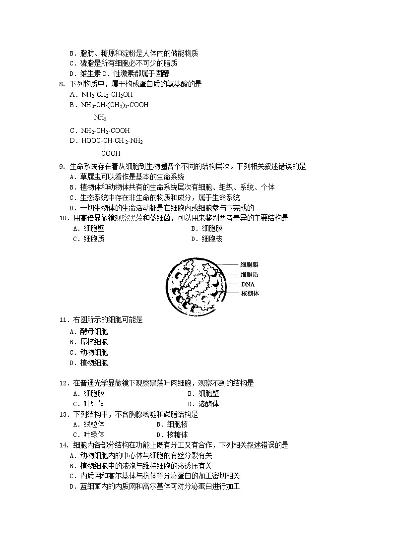 高中生物第一册 2019-2020学年辽宁省大连市期中考试生物试卷02