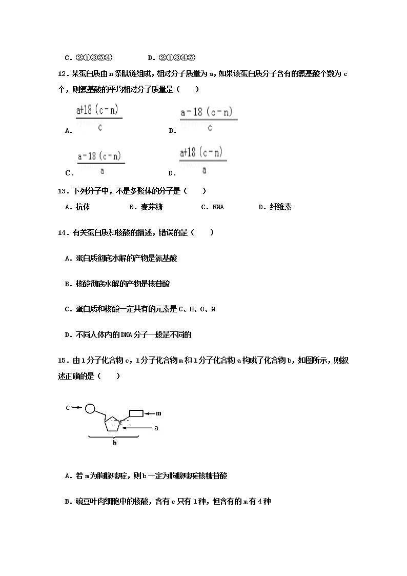 高中生物第一册 2019-2020学年山东省新泰市第二中学期中考试生物试题03
