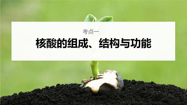 新人教新高考生物一轮复习课件  第1单元 第4课时　核酸是遗传信息的携带者06