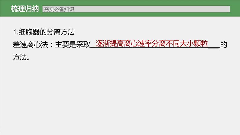 新人教新高考生物一轮复习课件  第2单元 第2课时　细胞器之间的分工第7页