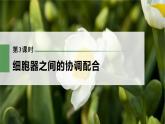 新人教新高考生物一轮复习课件  第2单元 第3课时　细胞器之间的协调配合