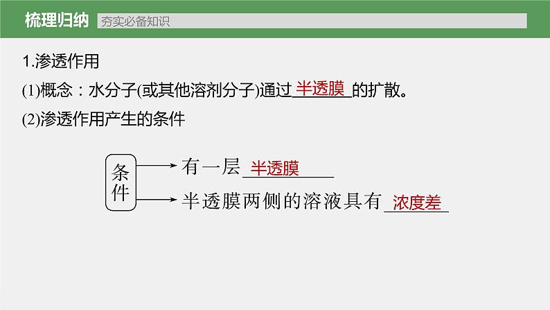 新人教新高考生物一轮复习课件  第2单元 第5课时　水进出细胞的原理07