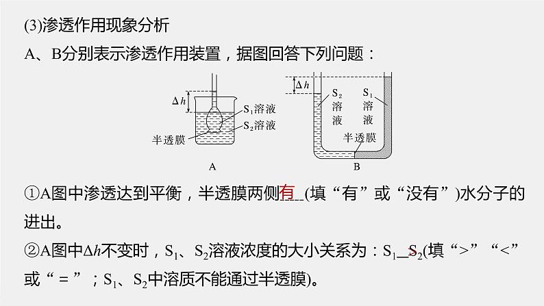 新人教新高考生物一轮复习课件  第2单元 第5课时　水进出细胞的原理08