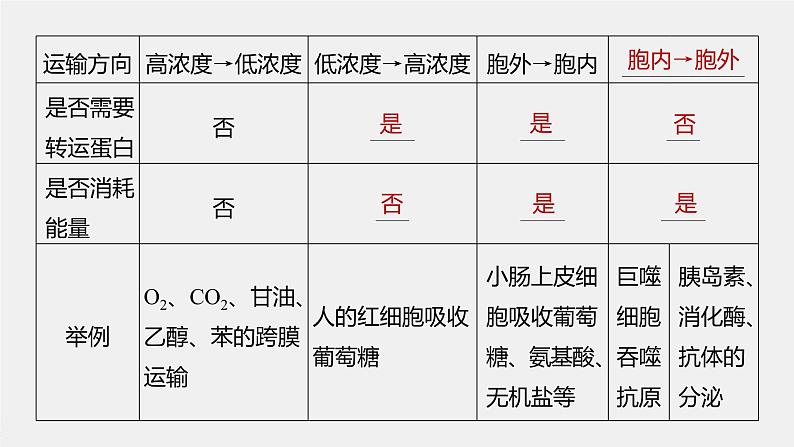 新人教新高考生物一轮复习课件  第2单元 第6课时　物质出入细胞的方式及影响因素第6页