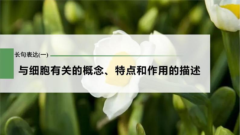 新人教新高考生物一轮复习课件  第2单元 长句表达(一)　与细胞有关的概念、特点和作用的描述第3页