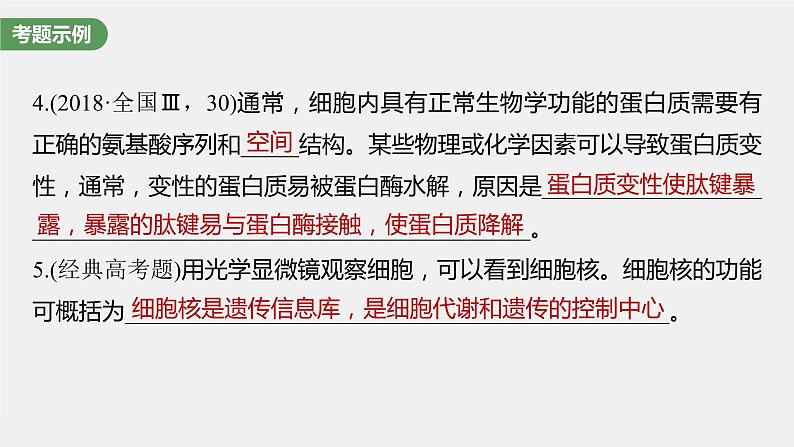 新人教新高考生物一轮复习课件  第2单元 长句表达(一)　与细胞有关的概念、特点和作用的描述第5页