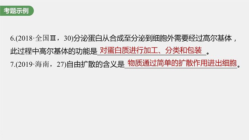 新人教新高考生物一轮复习课件  第2单元 长句表达(一)　与细胞有关的概念、特点和作用的描述第6页