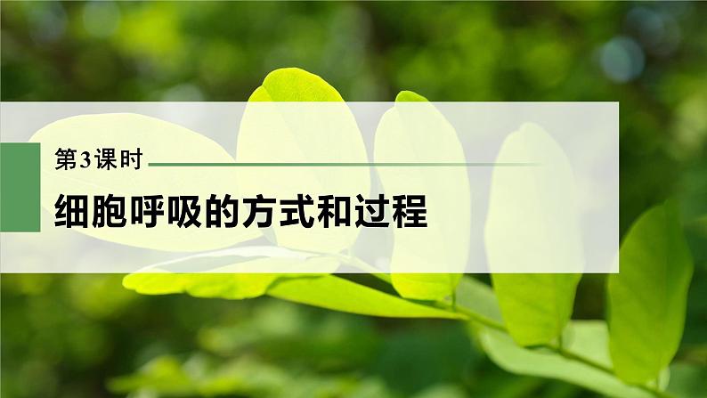 新人教新高考生物一轮复习课件  第3单元 第3课时　细胞呼吸的方式和过程第3页