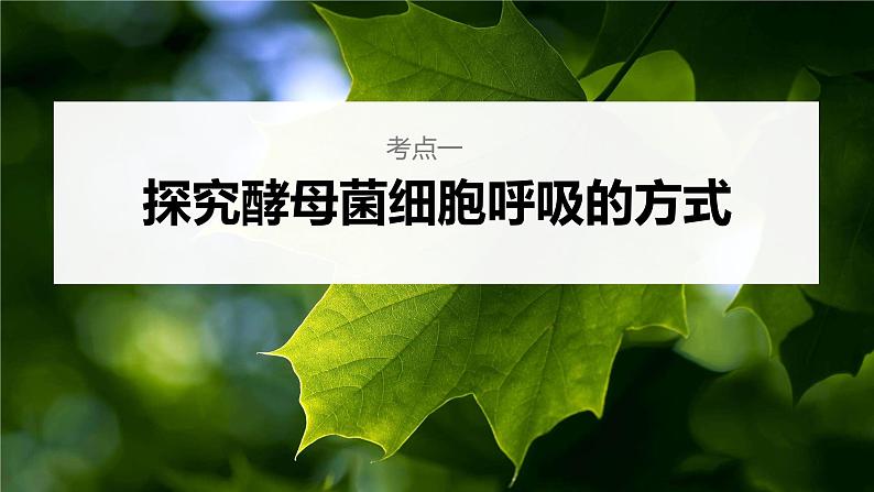 新人教新高考生物一轮复习课件  第3单元 第3课时　细胞呼吸的方式和过程第6页