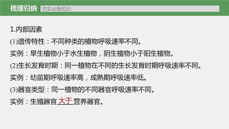 新人教新高考生物一轮复习课件  第3单元 第4课时　细胞呼吸的影响因素及其应用05