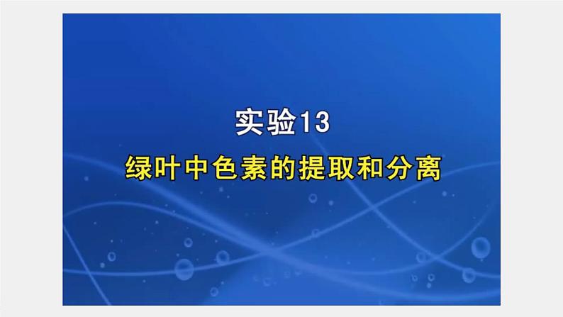 新人教新高考生物一轮复习课件  第3单元 第5课时　捕获光能的色素和结构07