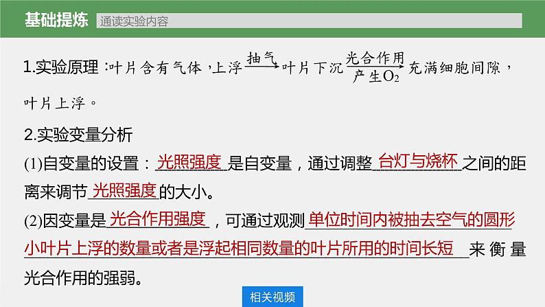 新人教新高考生物一轮复习课件  第3单元 第7课时　光合作用的影响因素及其应用07