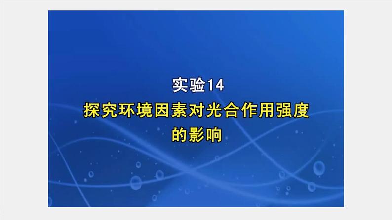 新人教新高考生物一轮复习课件  第3单元 第7课时　光合作用的影响因素及其应用08