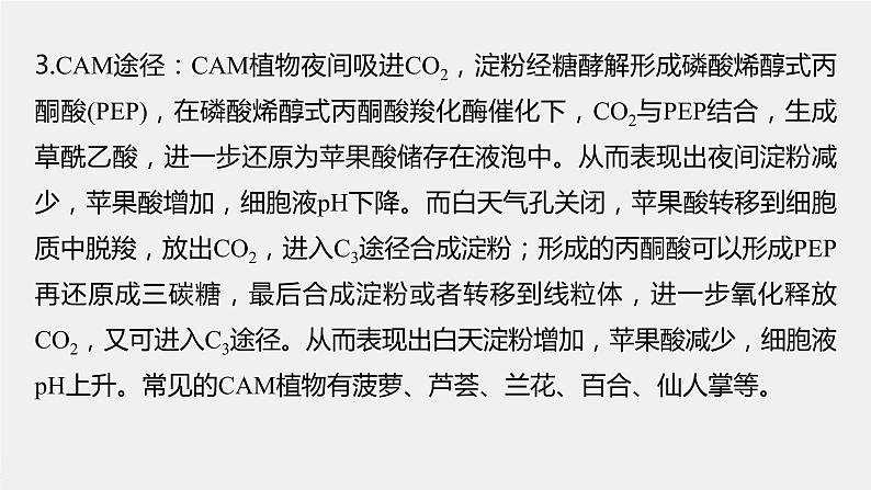 新人教新高考生物一轮复习课件  第3单元 解惑练1　C3植物、C4植物和CAM植物06