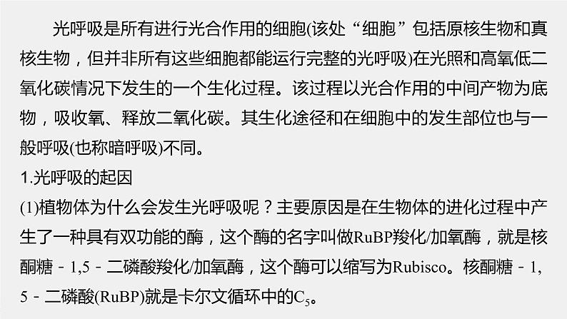 新人教新高考生物一轮复习课件  第3单元 解惑练2　光呼吸第4页