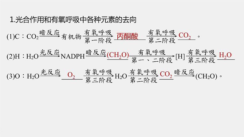 新人教新高考生物一轮复习课件  第3单元 微专题二　光合作用和细胞呼吸的综合分析05