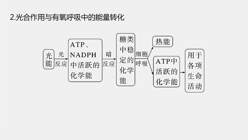 新人教新高考生物一轮复习课件  第3单元 微专题二　光合作用和细胞呼吸的综合分析06