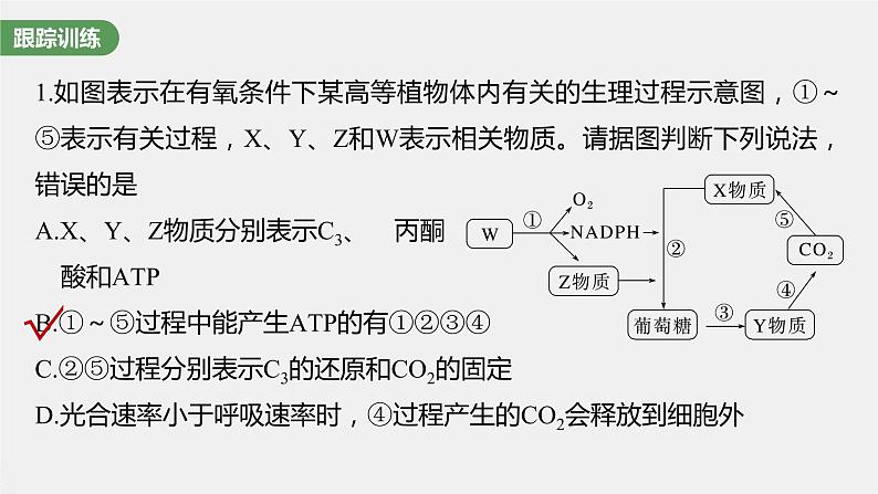 新人教新高考生物一轮复习课件  第3单元 微专题二　光合作用和细胞呼吸的综合分析07