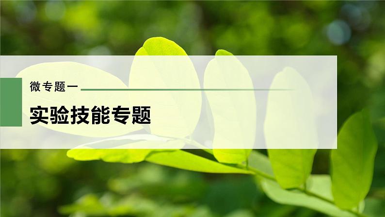 新人教新高考生物一轮复习课件  第3单元 微专题一　实验技能专题03