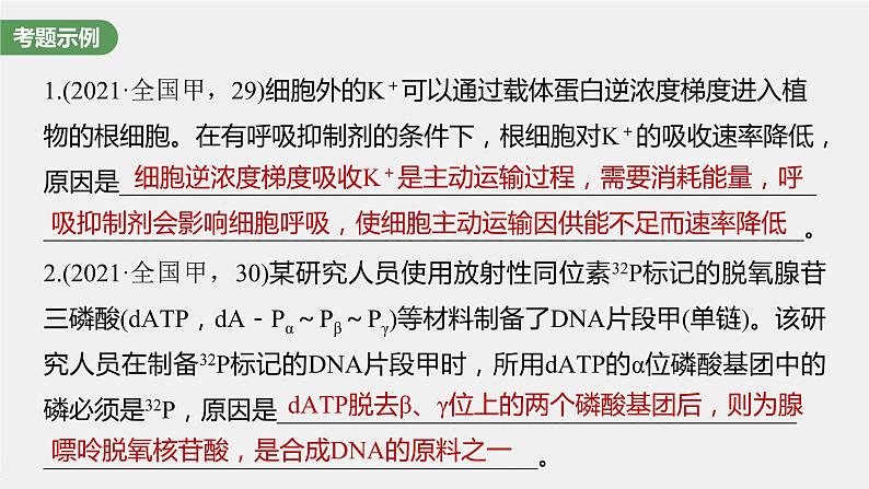 新人教新高考生物一轮复习课件  第3单元 长句表达(二)　细胞代谢中的原因分析第4页