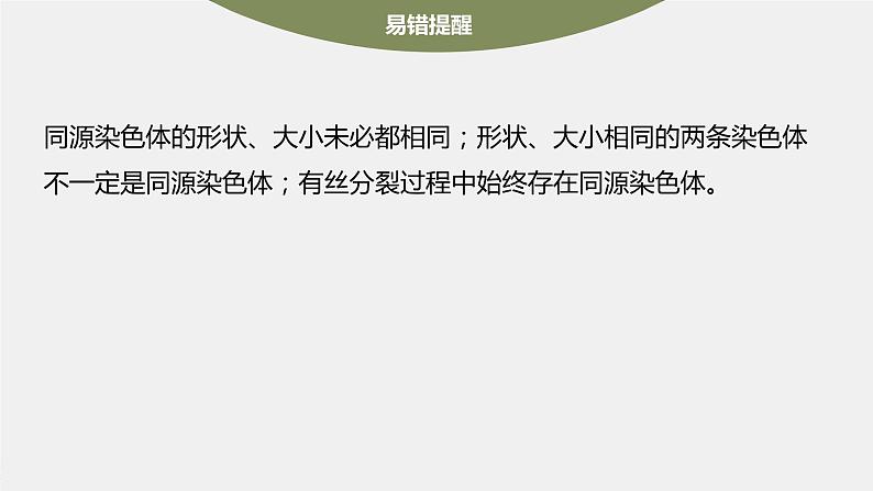 新人教新高考生物一轮复习课件  第4单元 第3课时　减数分裂和受精作用的过程分析08