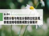 新人教新高考生物一轮复习课件  第4单元 第4课时　减数分裂与有丝分裂的比较及观察蝗虫精母细胞减数分裂装片