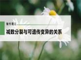 新人教新高考生物一轮复习课件  第4单元 微专题三　减数分裂与可遗传变异的关系