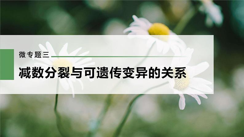 新人教新高考生物一轮复习课件  第4单元 微专题三　减数分裂与可遗传变异的关系03