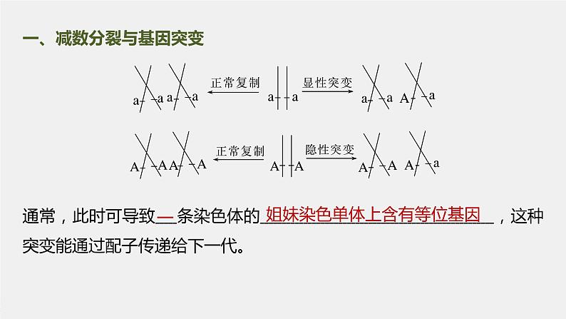 新人教新高考生物一轮复习课件  第4单元 微专题三　减数分裂与可遗传变异的关系04