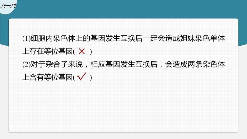 新人教新高考生物一轮复习课件  第4单元 微专题三　减数分裂与可遗传变异的关系07