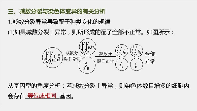 新人教新高考生物一轮复习课件  第4单元 微专题三　减数分裂与可遗传变异的关系08