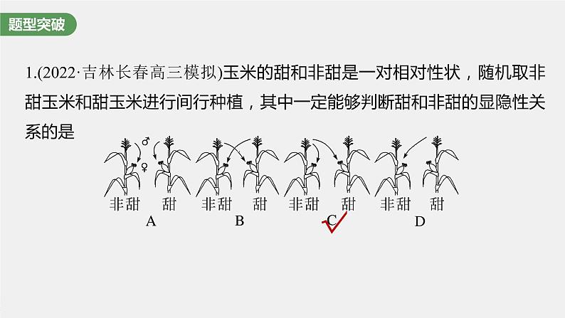 新人教新高考生物一轮复习课件  第5单元 第2课时　基因分离定律重点题型突破08