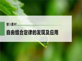 新人教新高考生物一轮复习课件  第5单元 第3课时　自由组合定律的发现及应用