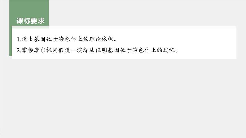 新人教新高考生物一轮复习课件  第5单元 第5课时　基因在染色体上的假说与证据第4页