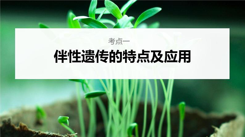 新人教新高考生物一轮复习课件  第5单元 第6课时　伴性遗传的特点与应用及人类遗传病第6页