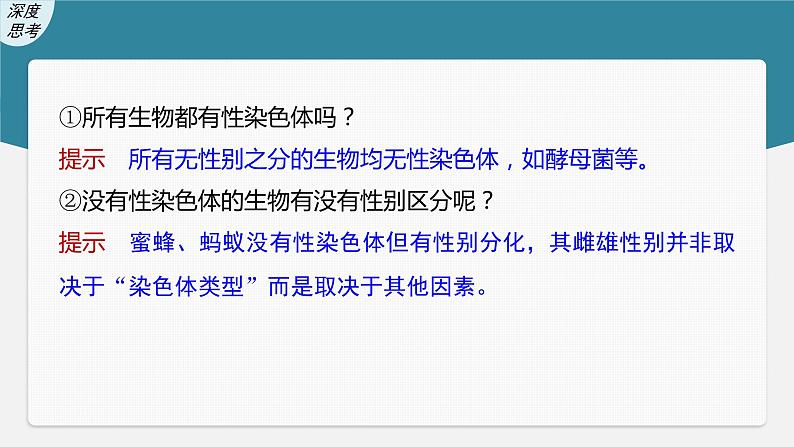 新人教新高考生物一轮复习课件  第5单元 第6课时　伴性遗传的特点与应用及人类遗传病第8页