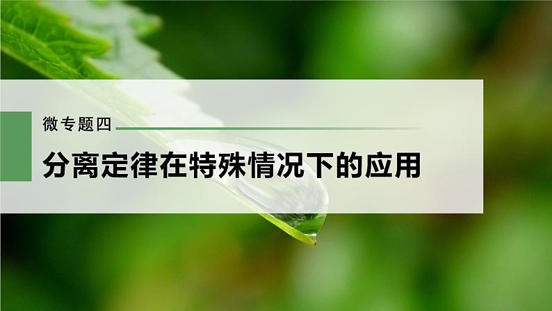 新人教新高考生物一轮复习课件  第5单元 微专题四　分离定律在特殊情况下的应用第3页