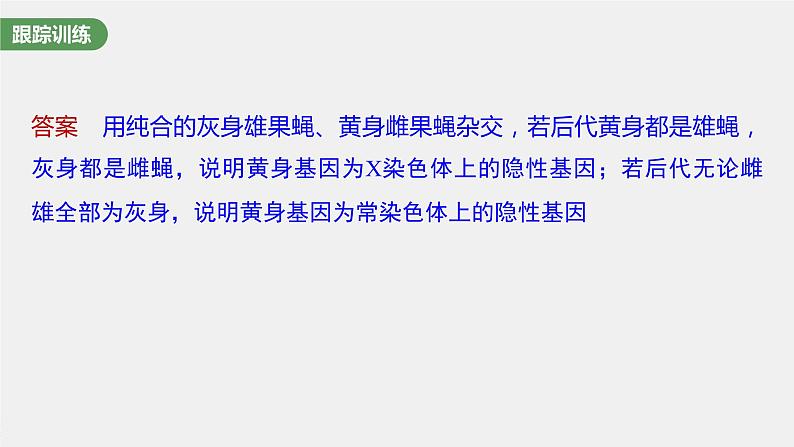 新人教新高考生物一轮复习课件  第5单元 微专题五　基因在染色体上的位置判断第7页