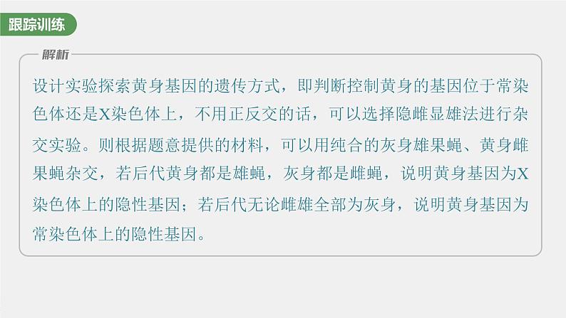 新人教新高考生物一轮复习课件  第5单元 微专题五　基因在染色体上的位置判断第8页