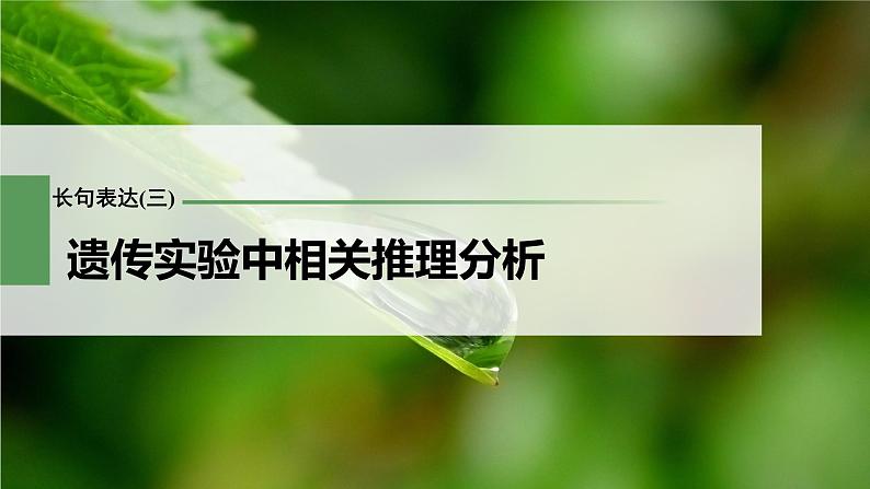 新人教新高考生物一轮复习课件  第5单元 长句表达(三)　遗传实验中相关推理分析第3页