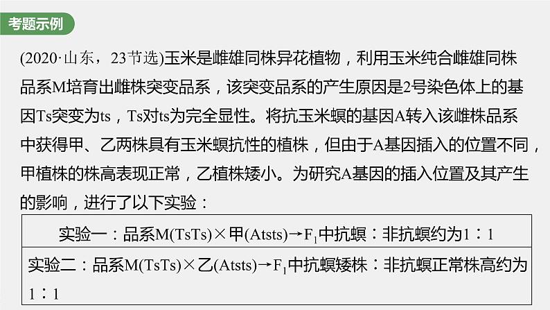 新人教新高考生物一轮复习课件  第5单元 长句表达(三)　遗传实验中相关推理分析第4页