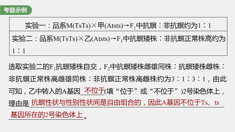 新人教新高考生物一轮复习课件  第5单元 长句表达(三)　遗传实验中相关推理分析第5页