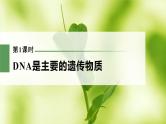 新人教新高考生物一轮复习课件  第6单元 第1课时　DNA是主要的遗传物质
